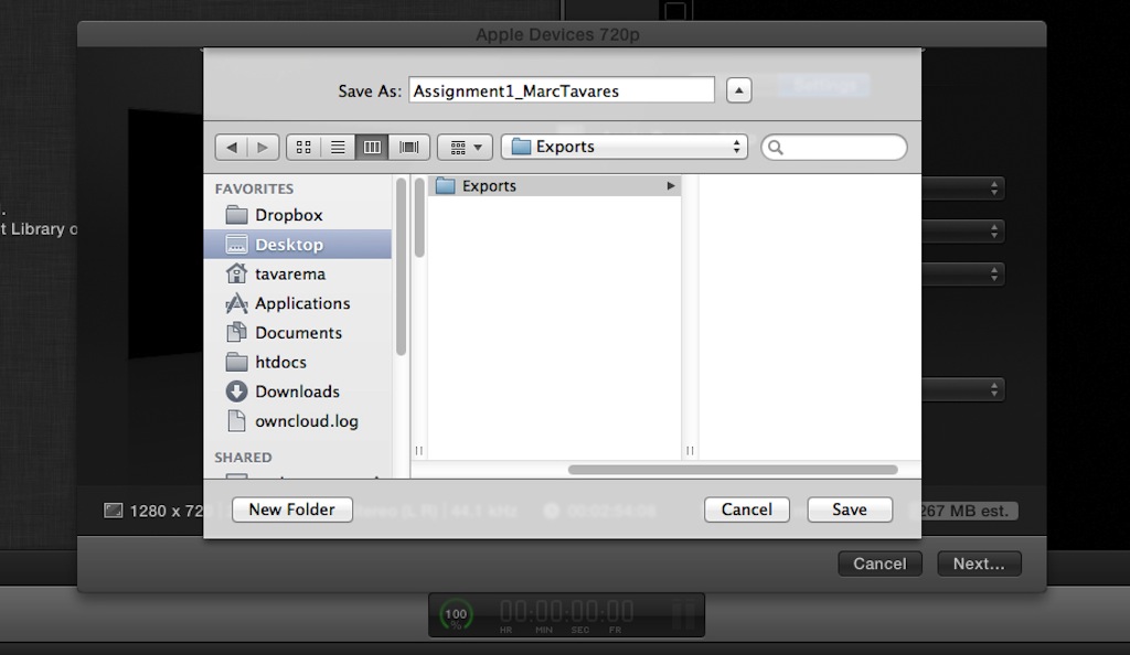 Screen grab of Save As dialogue box showing user entering name of final exported video clip.