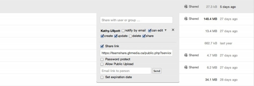 screen shot of team share interface illustrating the ability to demonstrate and share a link with another user by selecting "share link"
