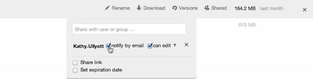 screen grab of the team share interface showing a user clicking an option to notify another user by email that a file has been shared with them. 