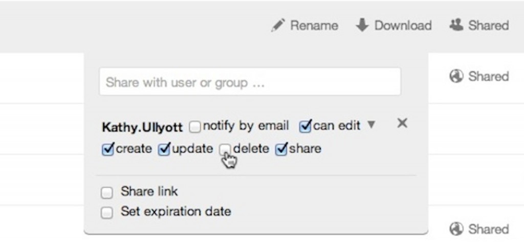 screen shot of drop down dialogue box in team share interface illustrating various sharing permissions.