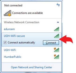 A picture of available wireless network connections 